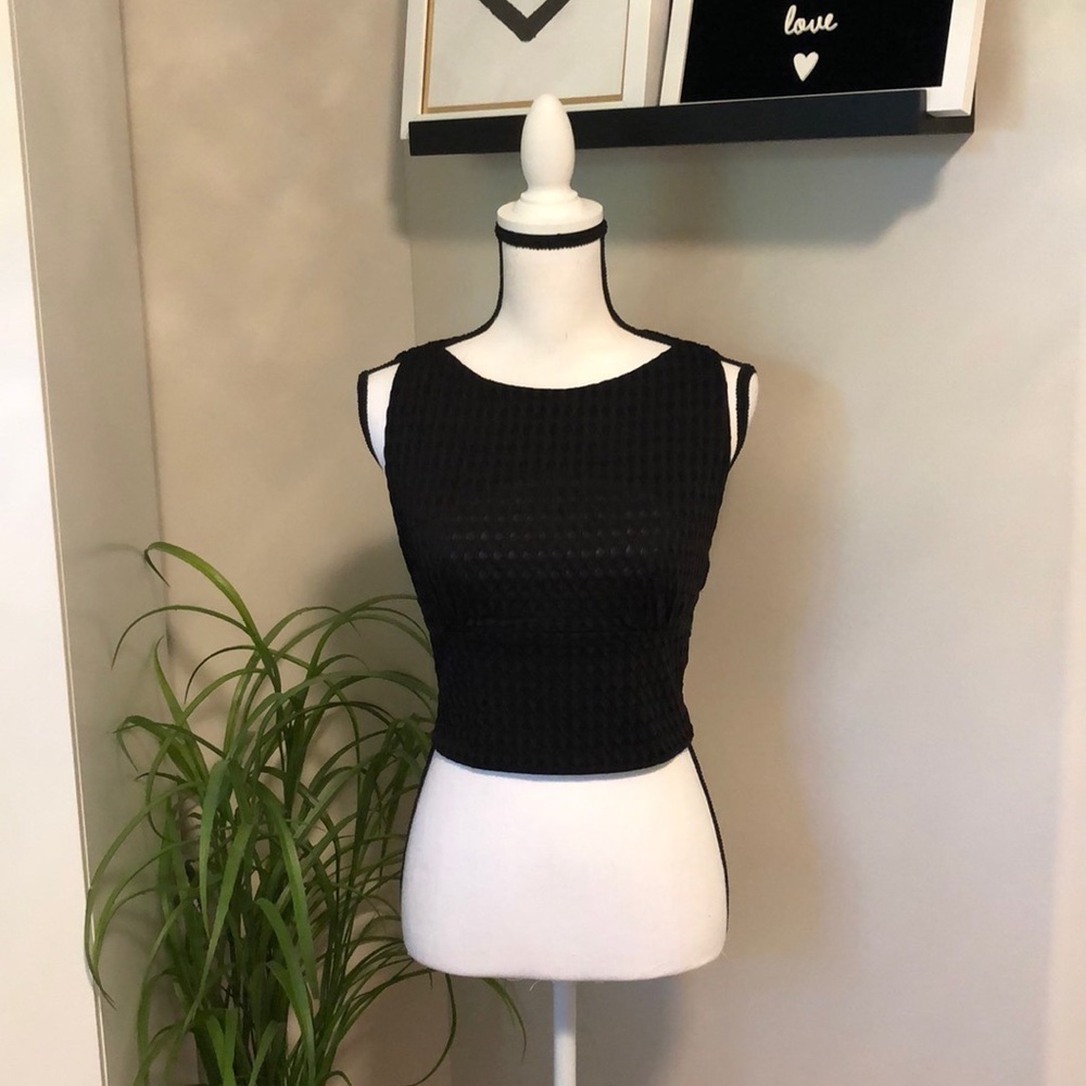 Zara Trafaluc Crop Top